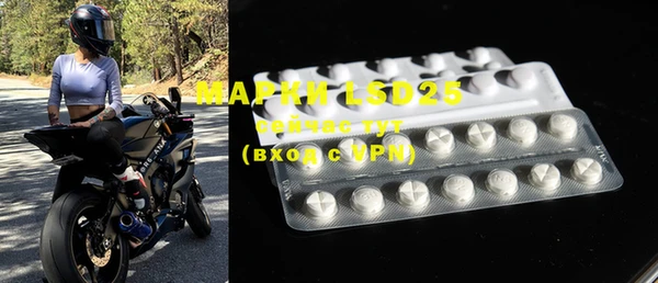 ECSTASY Кукмор