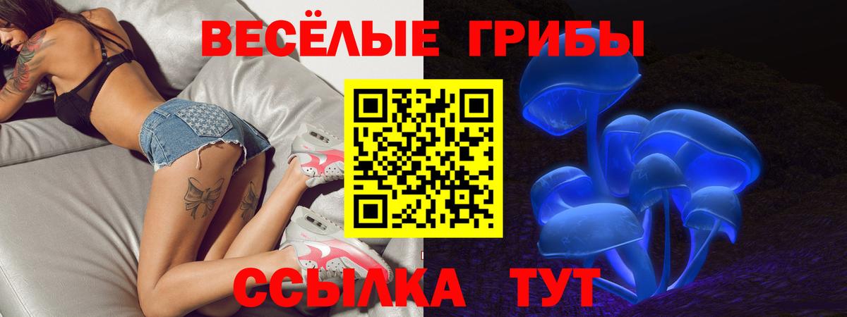 Галлюциногенные грибы GOLDEN TEACHER  Советский 