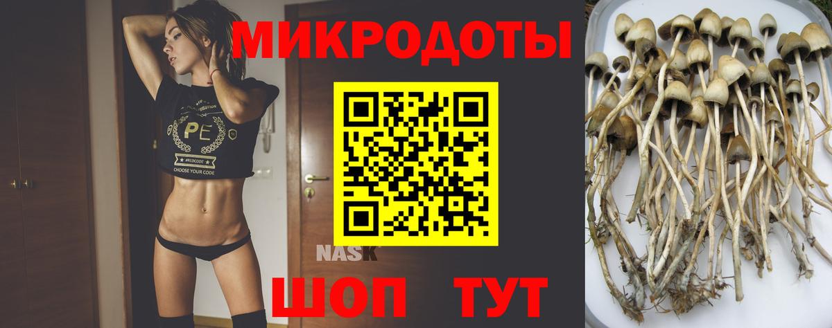 Псилоцибиновые грибы GOLDEN TEACHER Советский