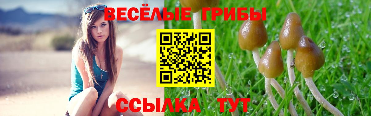Галлюциногенные грибы GOLDEN TEACHER Советский